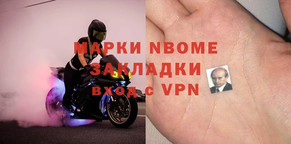 прущие грибы Надым