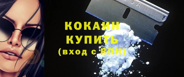 прущие грибы Надым