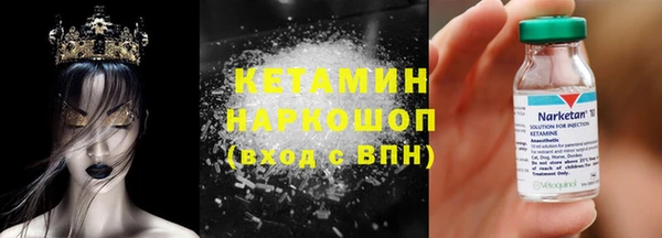 прущие грибы Надым