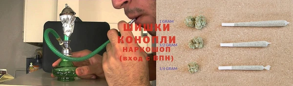 прущие грибы Надым