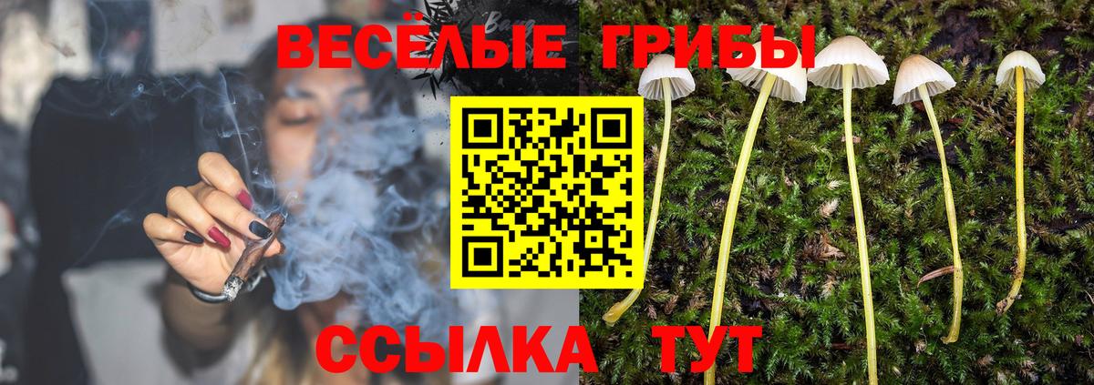 Галлюциногенные грибы Psilocybine cubensis  Вход с VPN  Калининград 
